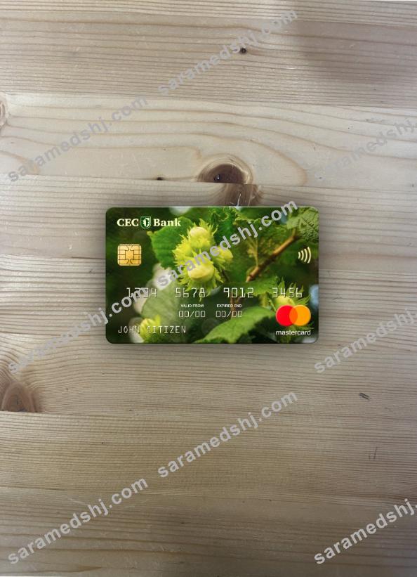 Romania CEC Bank mastercard photolook front